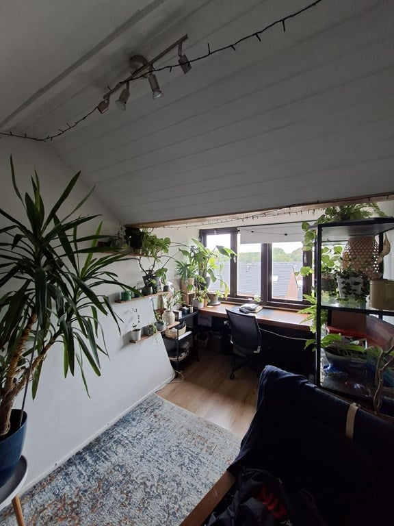 Te huur Kamer Johan de Wittlaan in Arnhem