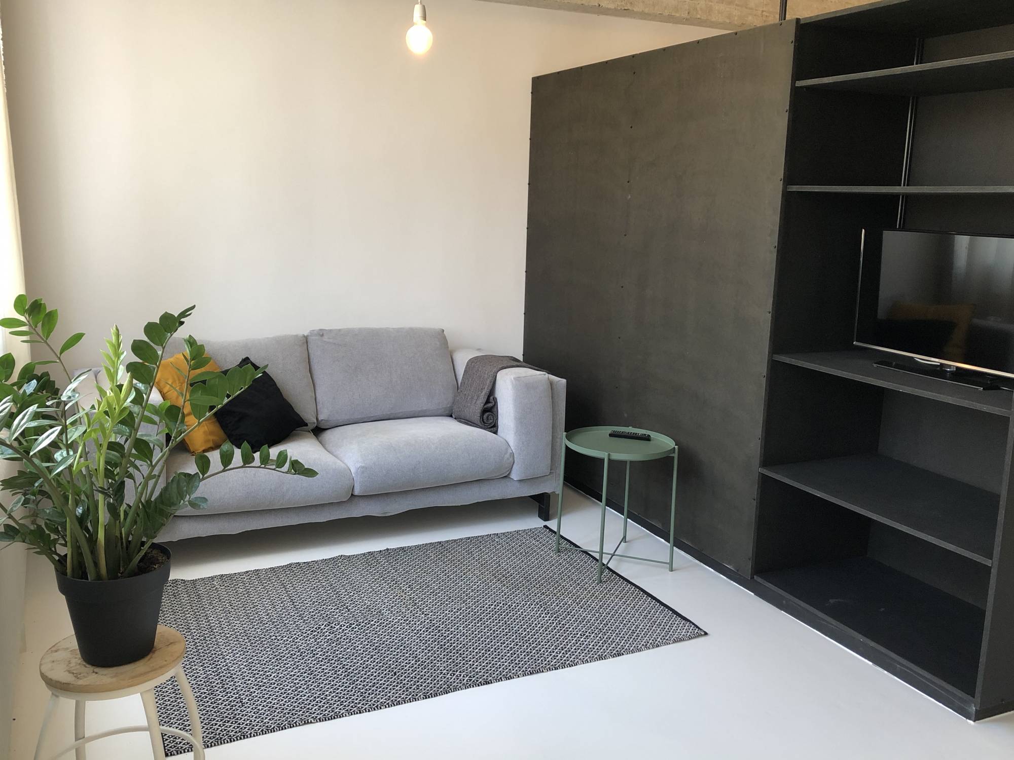 Te huur Appartement Professor Pieter Willemsstraat in Maastricht