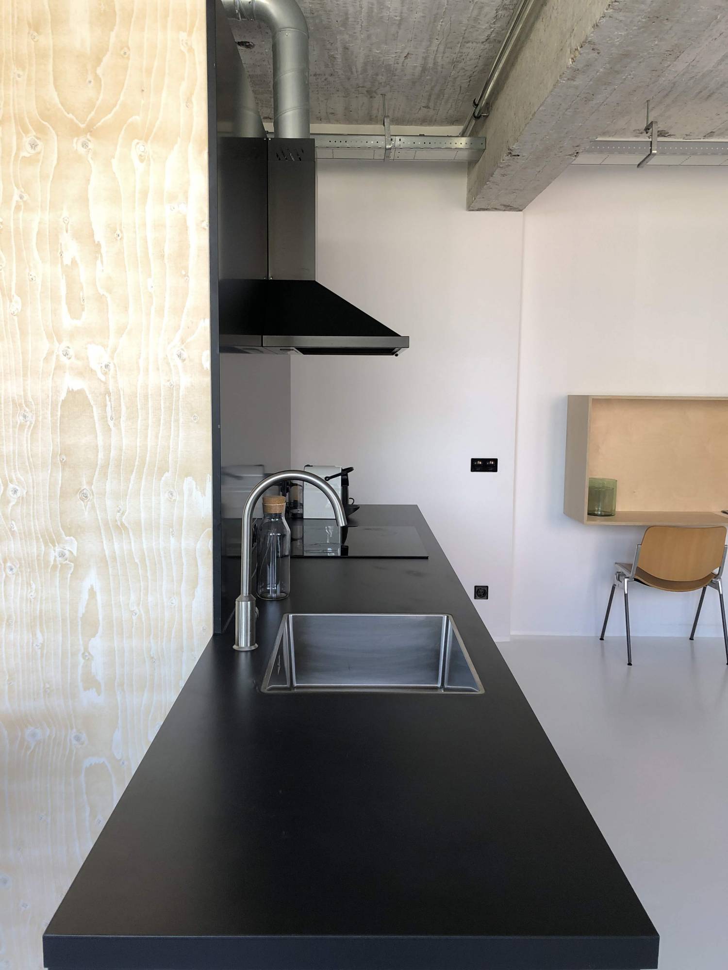Te huur Appartement Professor Pieter Willemsstraat in Maastricht