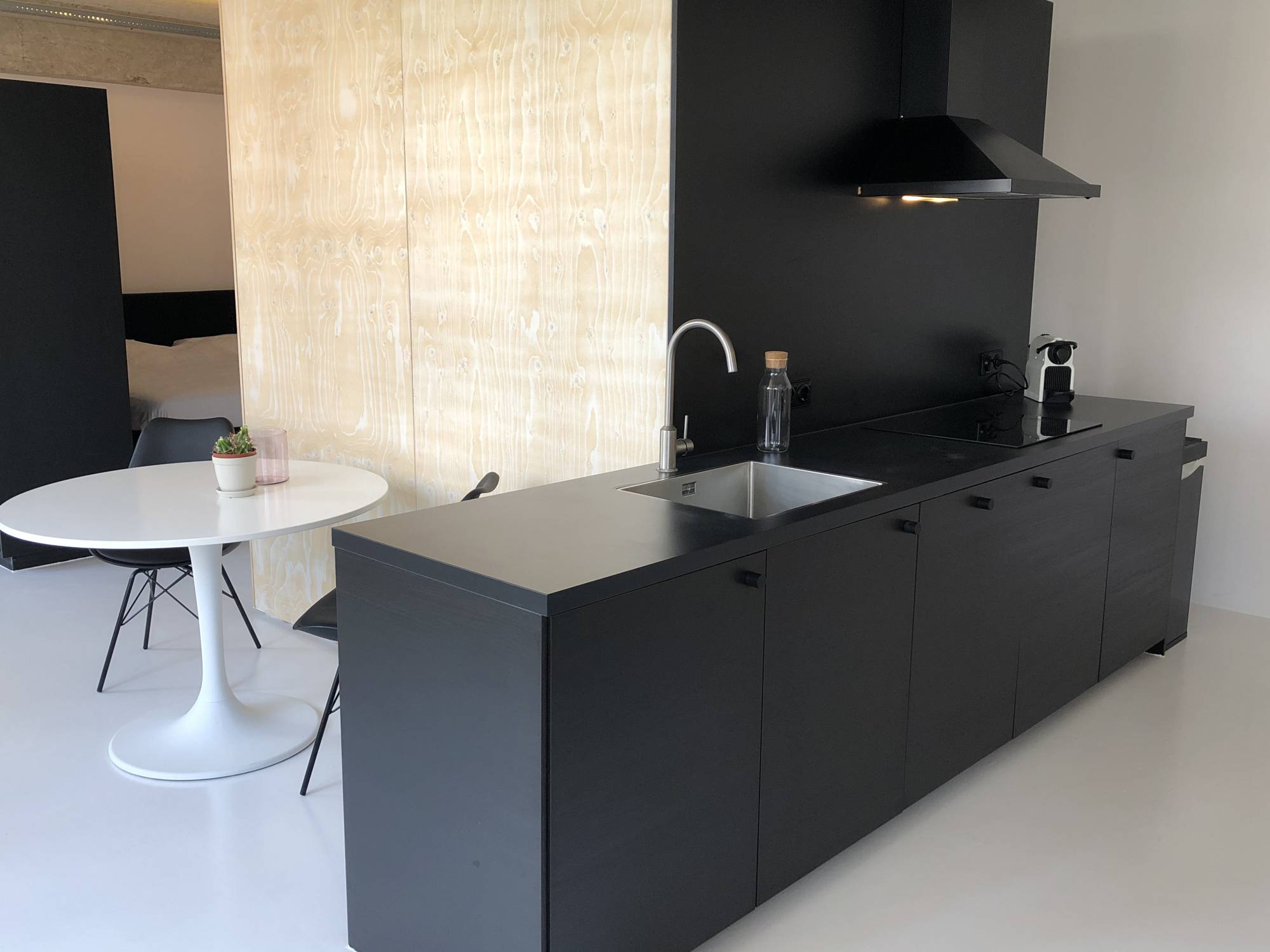 Te huur Appartement Professor Pieter Willemsstraat in Maastricht