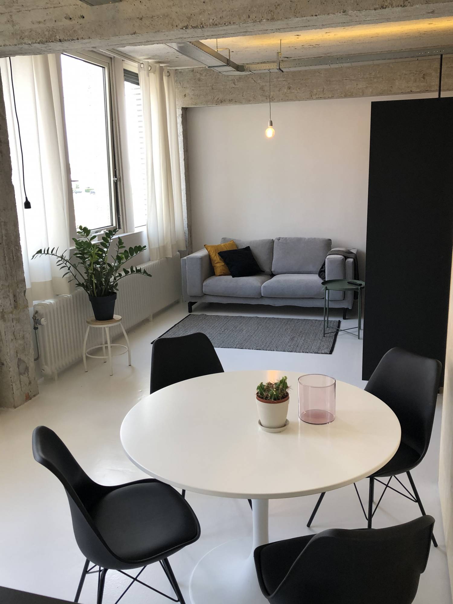 Te huur Appartement Professor Pieter Willemsstraat in Maastricht