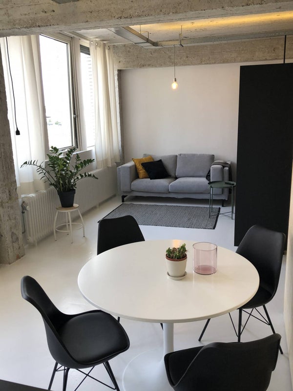 Te huur Appartement Professor Pieter Willemsstraat in Maastricht