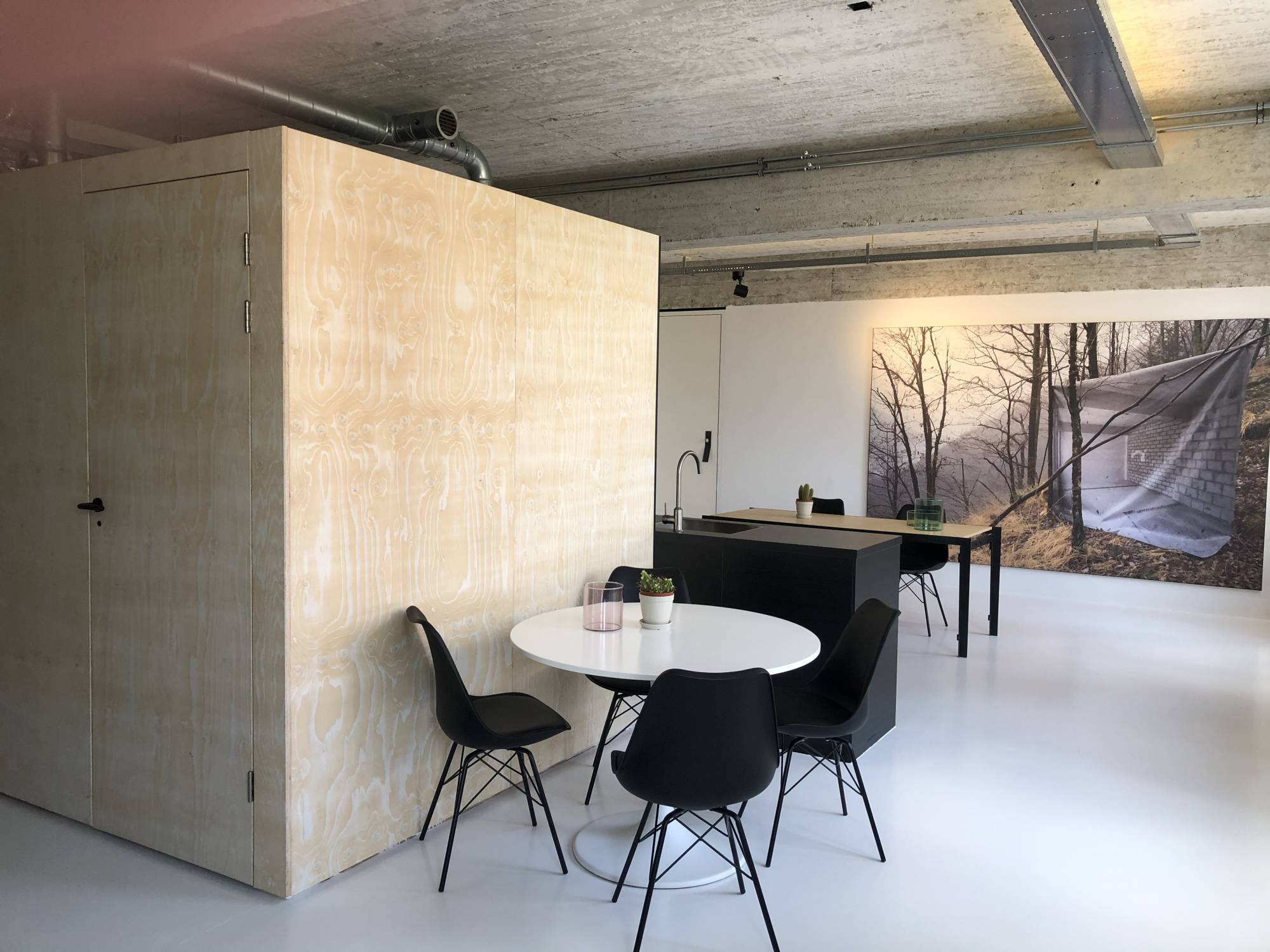 Te huur Appartement Professor Pieter Willemsstraat in Maastricht