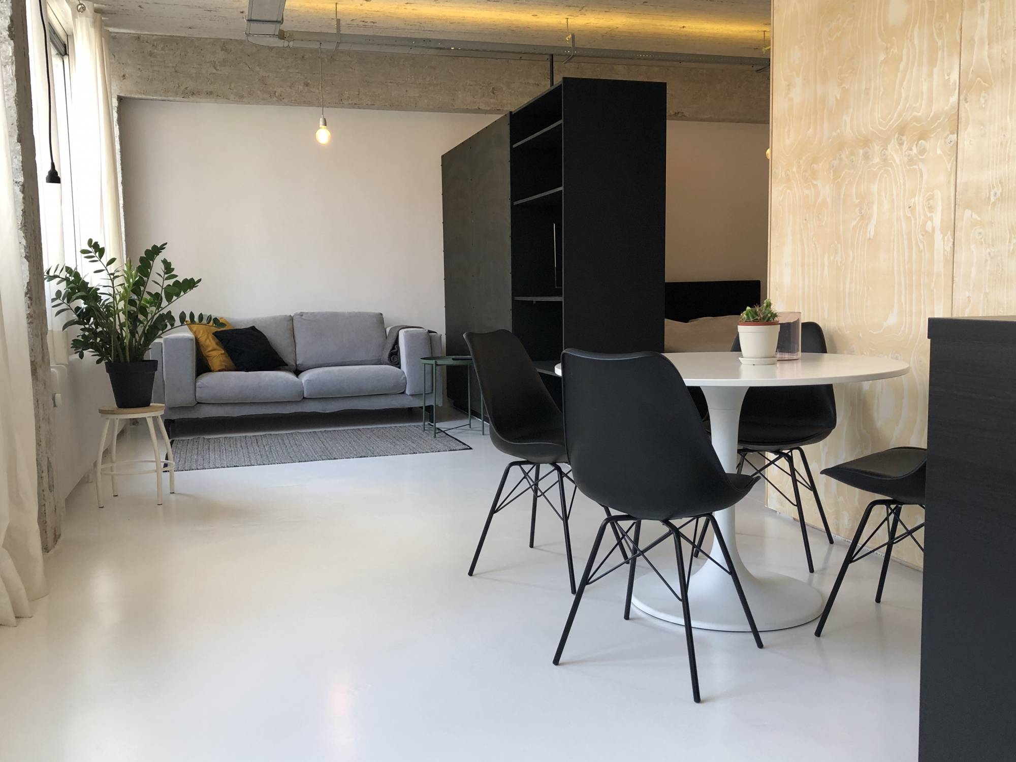 Te huur Appartement Professor Pieter Willemsstraat in Maastricht