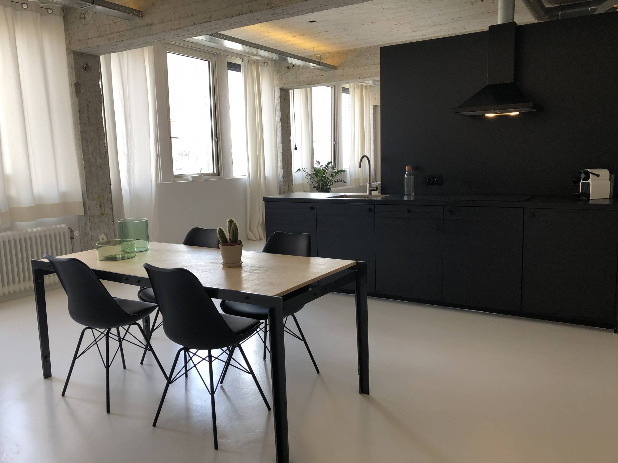 Te huur Appartement Professor Pieter Willemsstraat in Maastricht