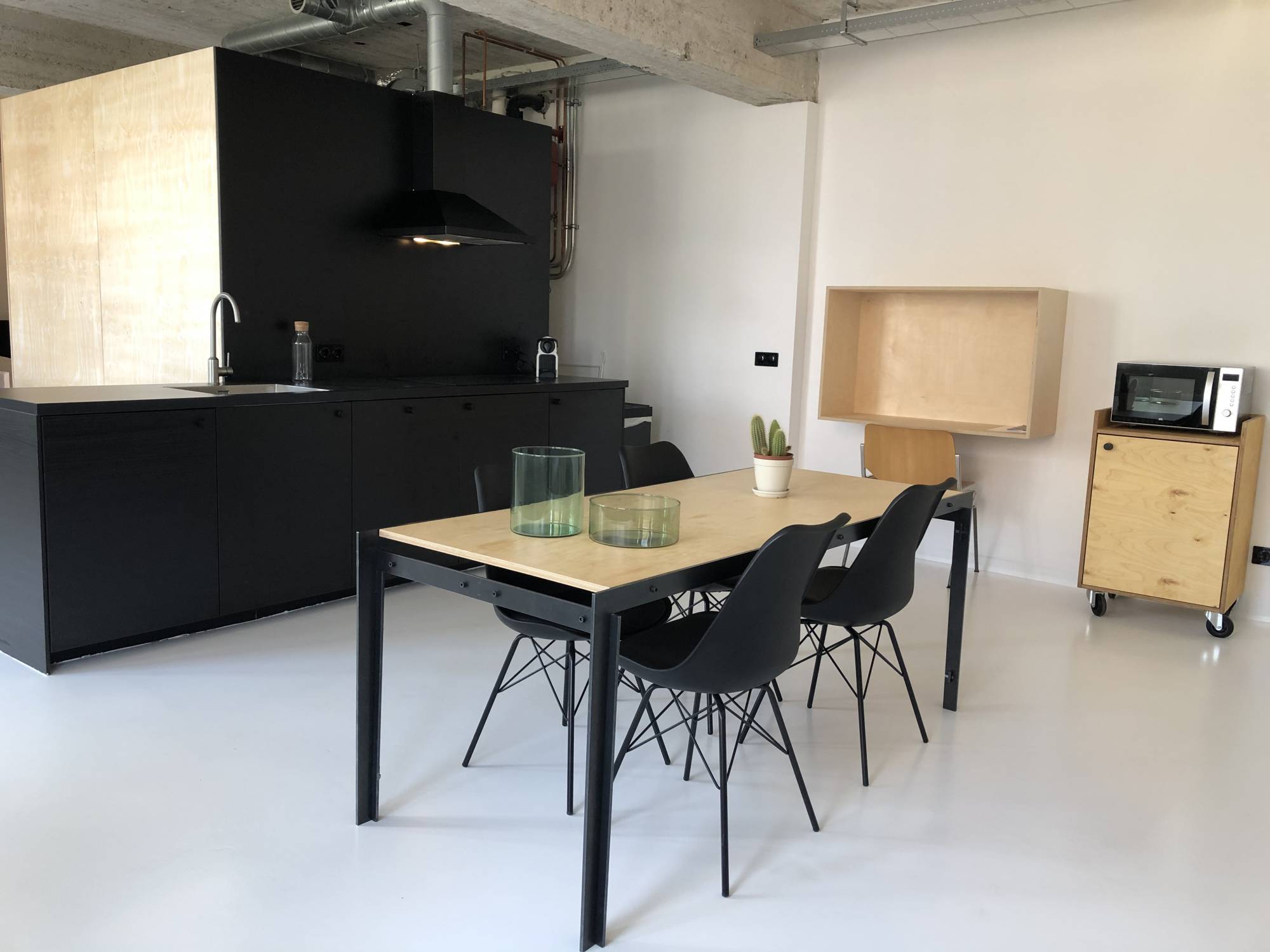 Te huur Appartement Professor Pieter Willemsstraat in Maastricht