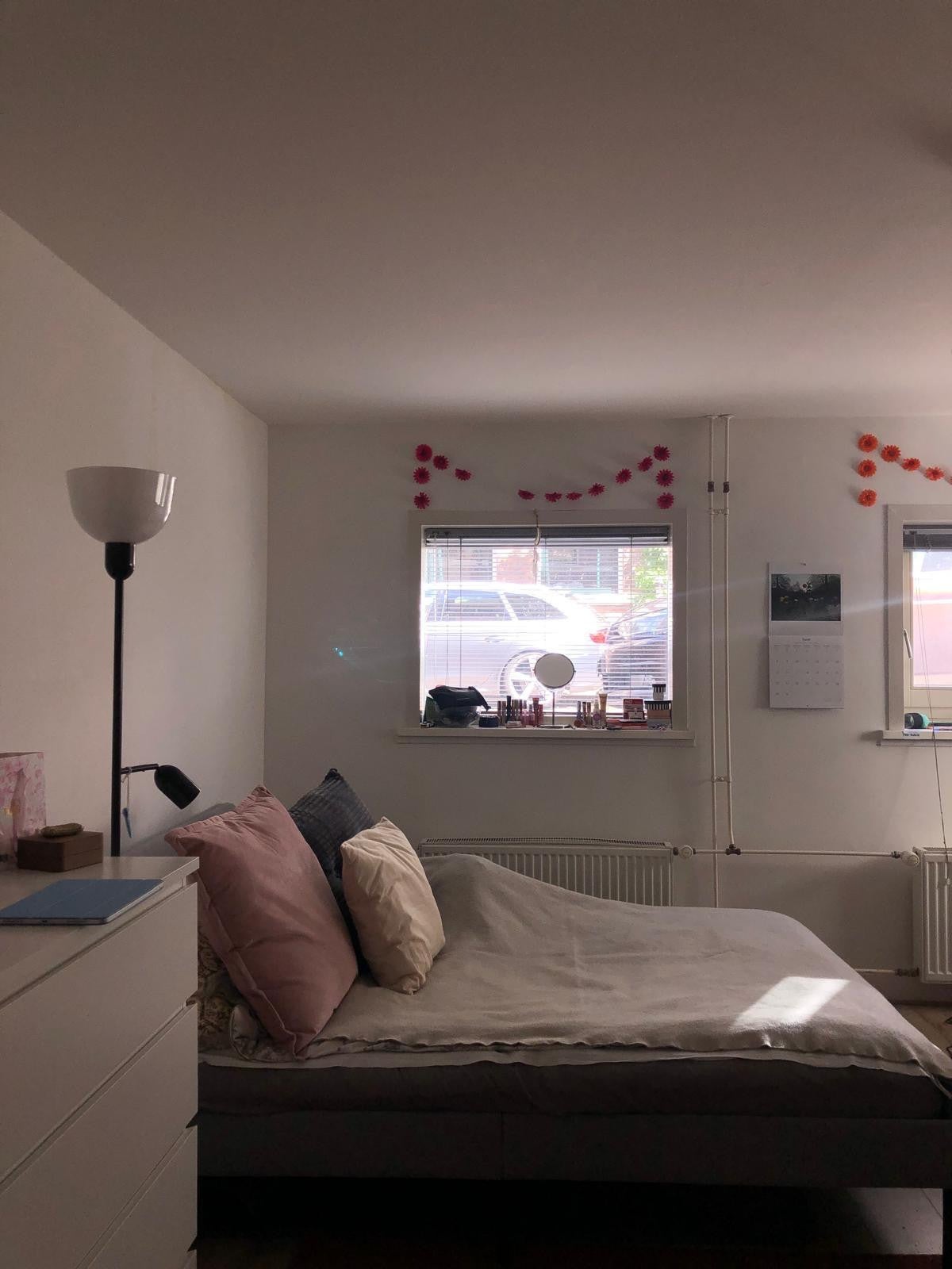 Studio Van Speijkstraat