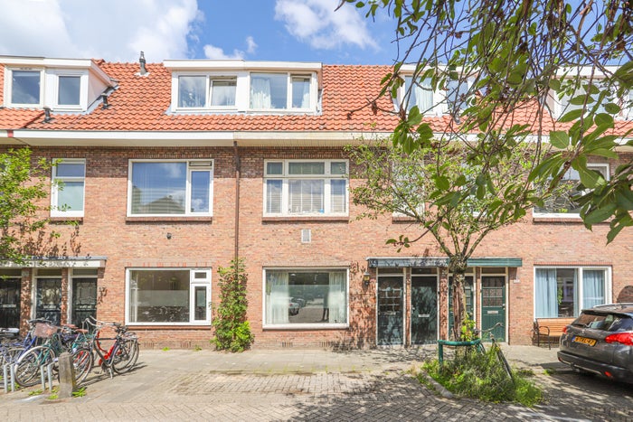 Flamingostraat 24