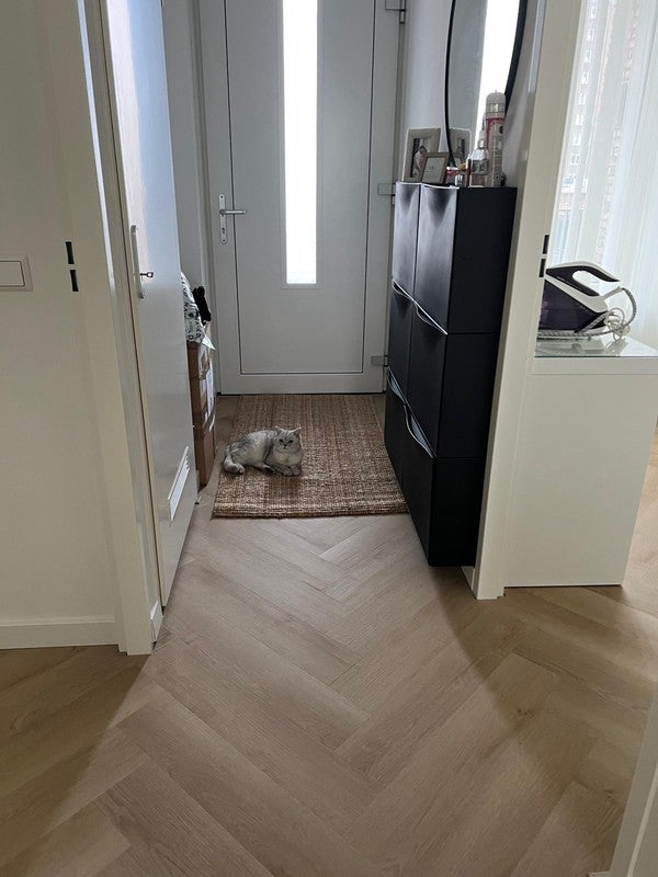 Appartement P.C. Boutensstraat