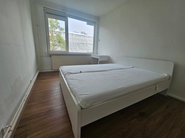 Studio Europalaan in Tilburg