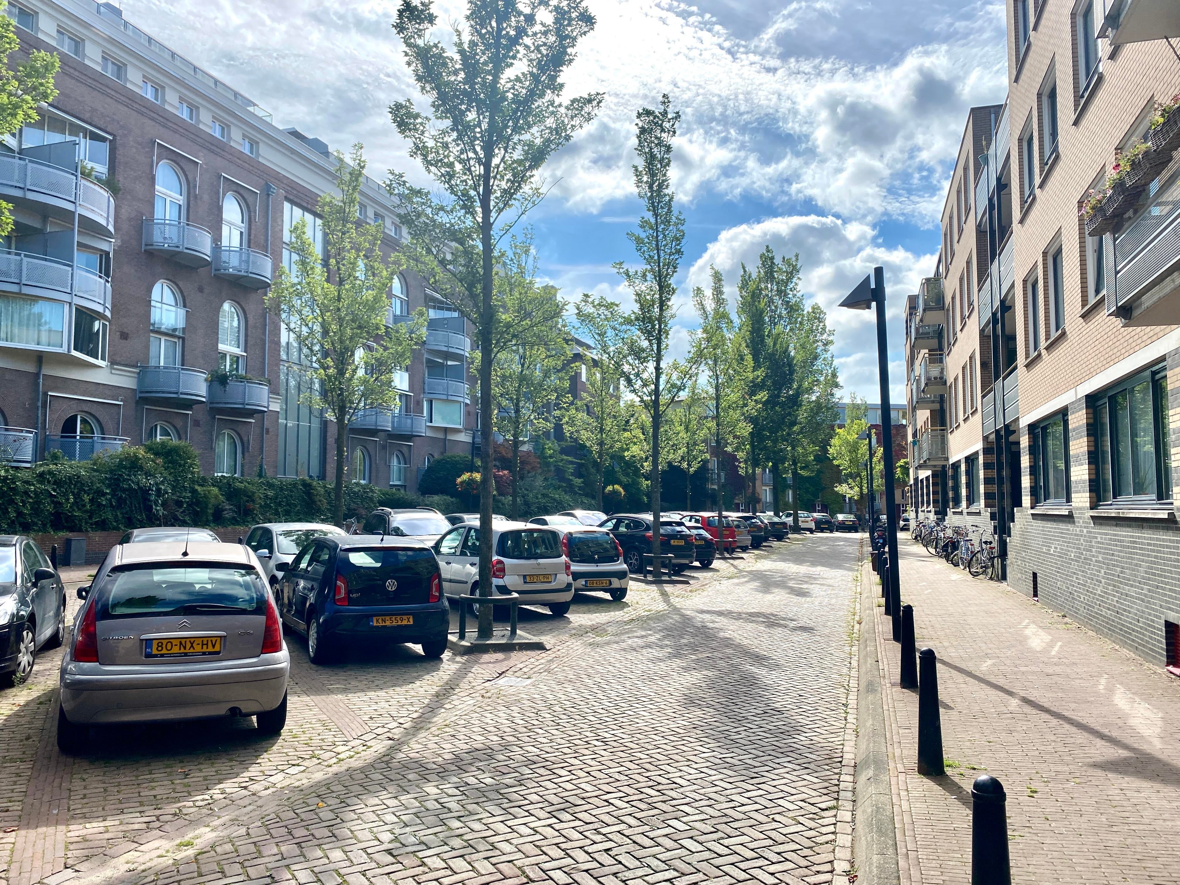 Flat Arthur van Schendelstraat 189