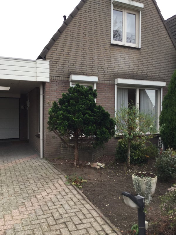 Huis of Appartement Huren Elke Dag Nieuwe Huurwoningen Huurstunt