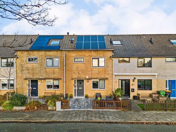 Zeeschildpad Heerhugowaard