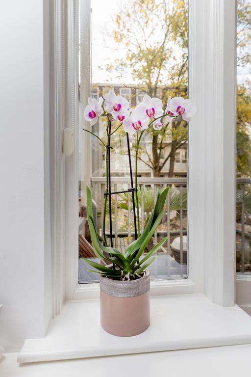 Appartement te huur: Ceintuurbaan 424-1, Amsterdam