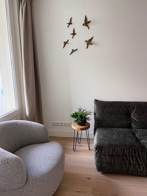 Te huur Appartement Eerste Jan van der Heijdenstraat 45 C in Amsterdam