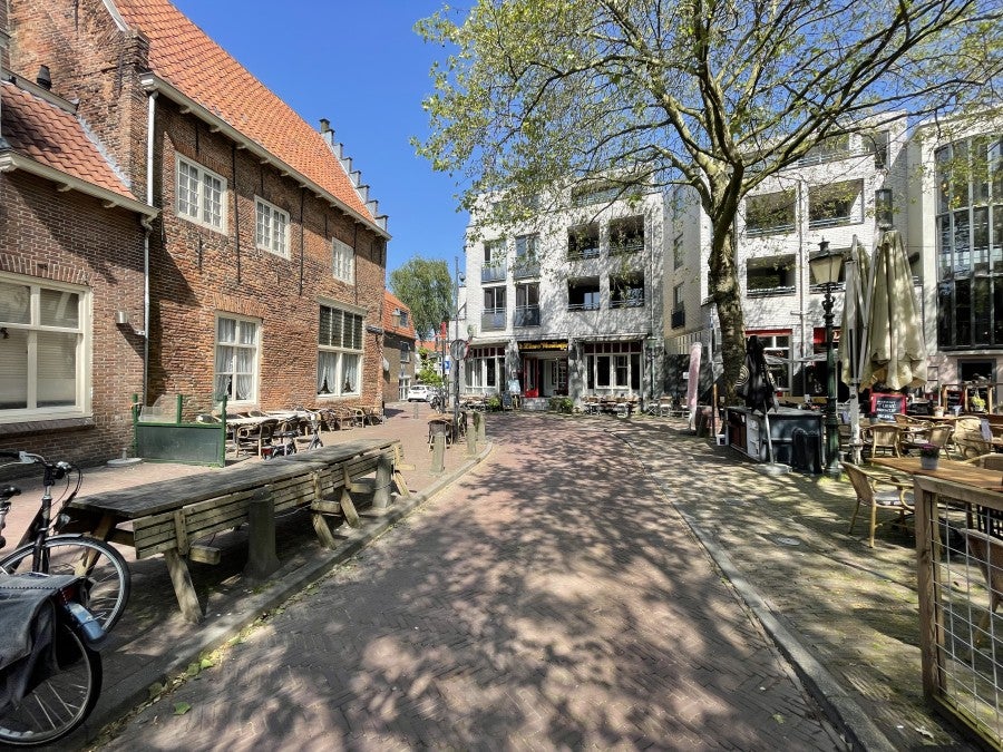 Flat Zwanenhalssteeg
