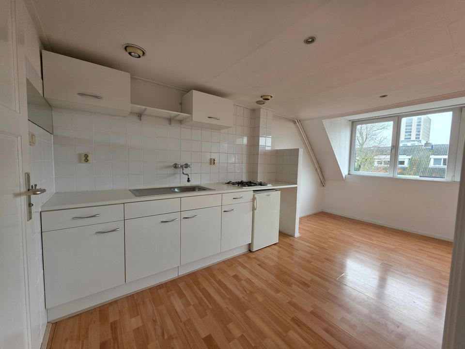 Room Speelhuislaan