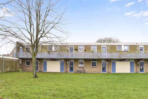 Appartement Reigerweg 11