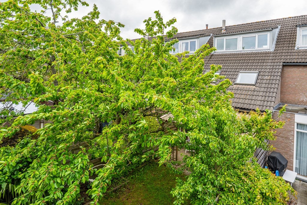 Tussenwoning te koop: Dopheidestraat 23, Lisserbroek