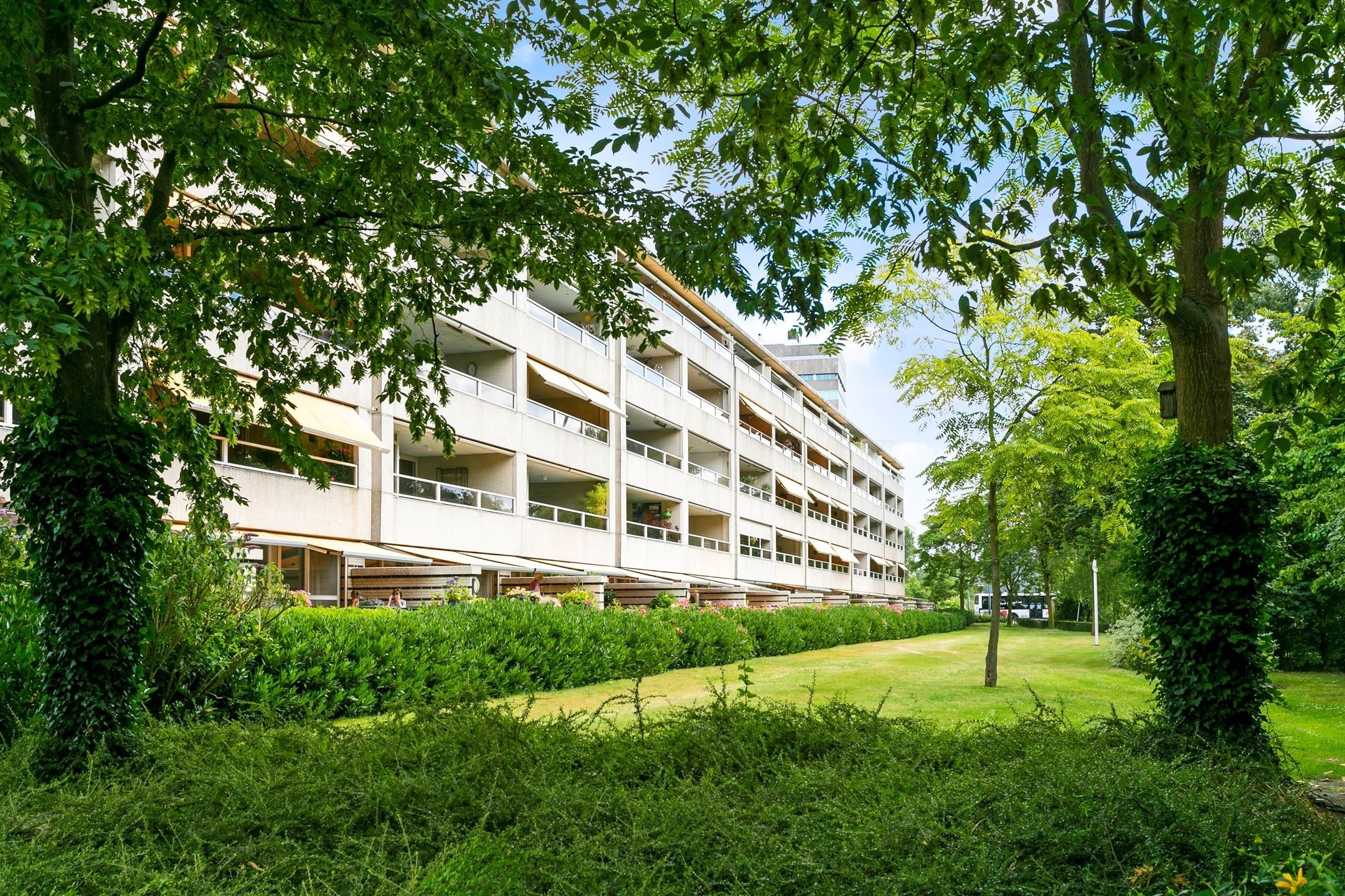 Woning te huur: Groot Paradijs, Eindhoven