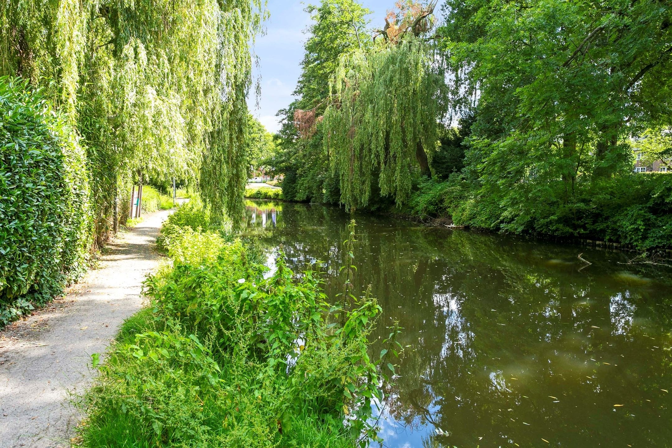 Woning te huur: Groot Paradijs, Eindhoven