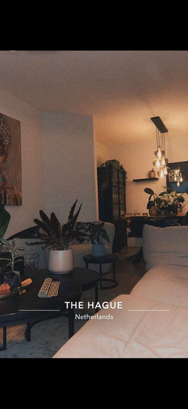 Appartement Van Zeggelenlaan in Den Haag