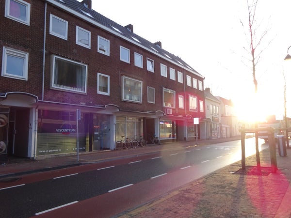 vrije-sector-woningen te huur op Vredebest