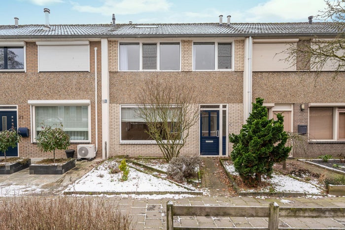 Bruinvisstraat 19