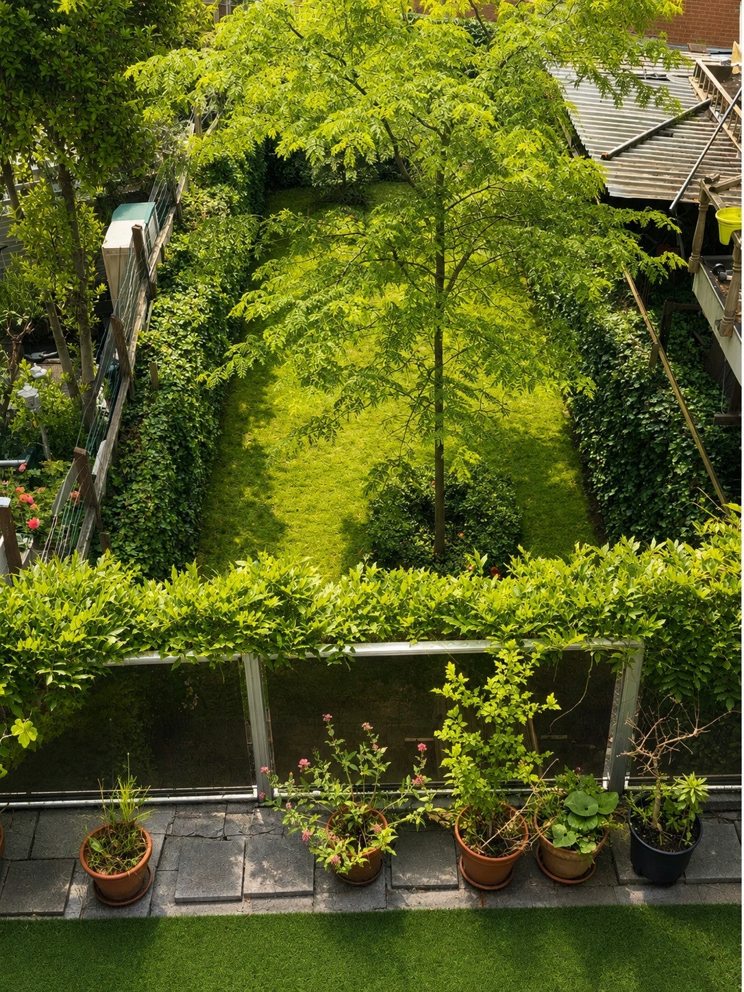Woning te huur: Albregt-Engelmanstraat, Rotterdam