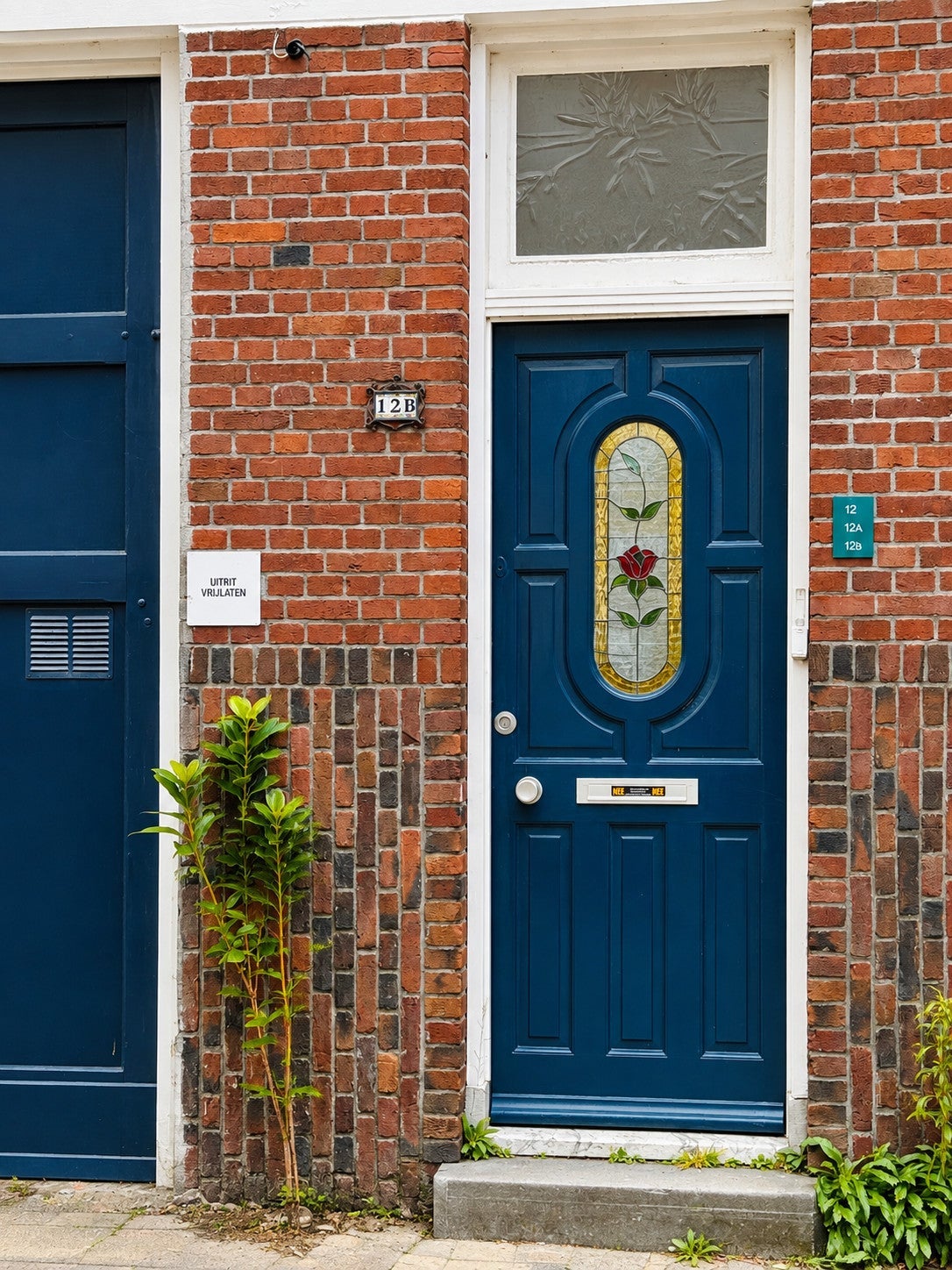 Woning te huur: Albregt-Engelmanstraat, Rotterdam