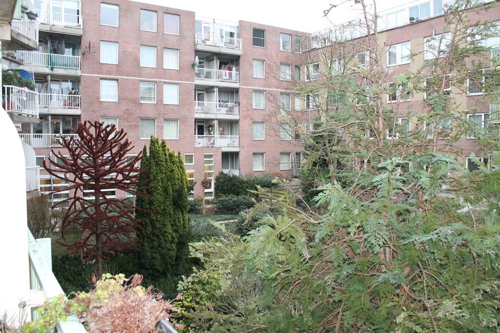 Woning te huur: Borgerstraat, Amsterdam