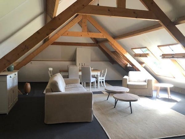 Flat Waaldijk in Dreumel
