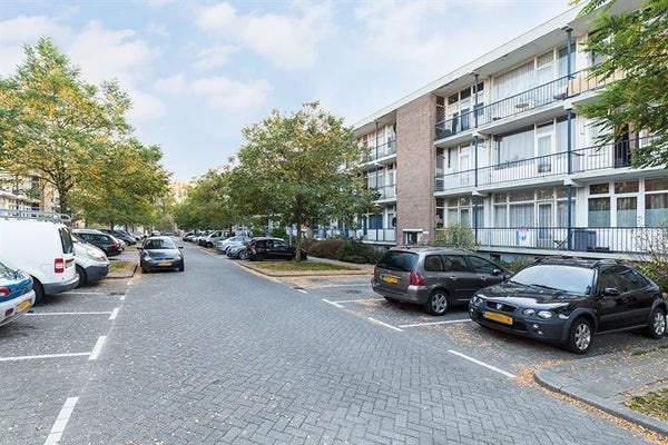 Te huur: Appartement Ellewoutsdijkstraat in Rotterdam