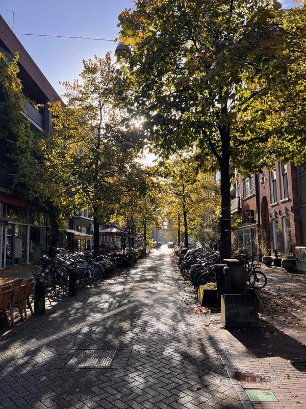 Appartement Eerste Sweelinckstraat in Amsterdam