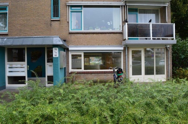 H.C. Pootstraat 78