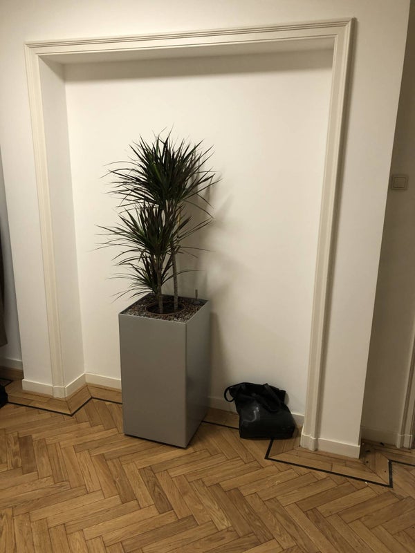 Te huur Appartement Beethovenstraat in Amsterdam