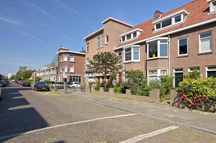 Tomatenstraat 109