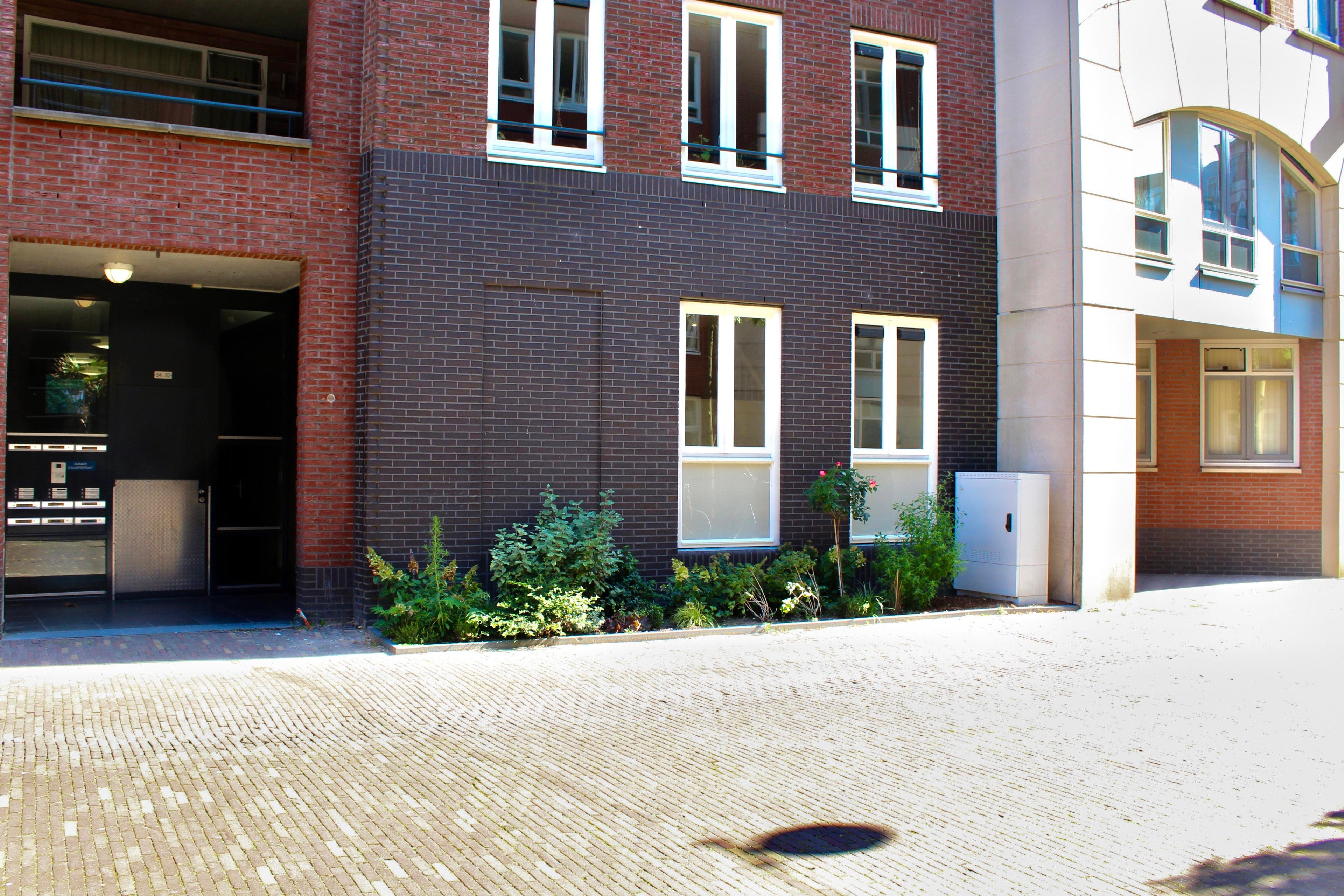 Calliopestraat