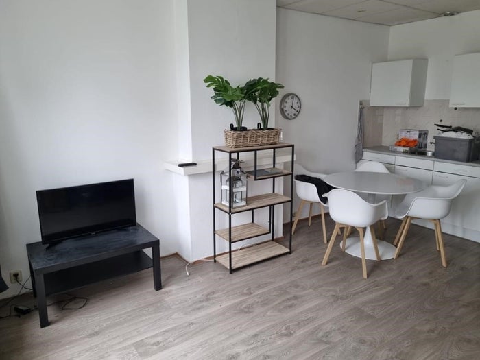 Te huur: Appartement Obrechtstraat in Den Haag