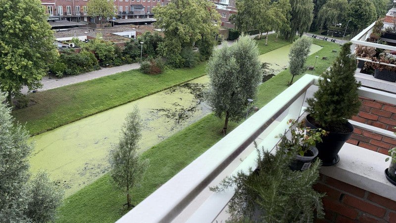 Appartement Burghsluissingel in Rotterdam