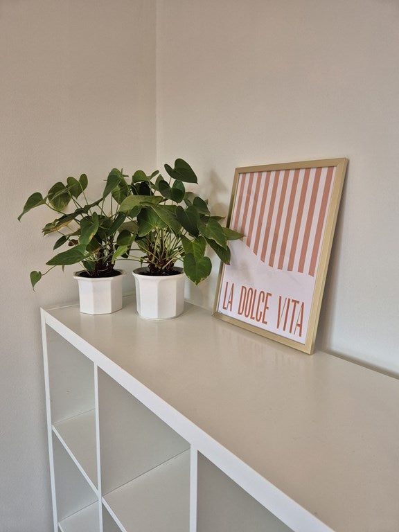 Woning te huur: Zeelsterstraat, Eindhoven