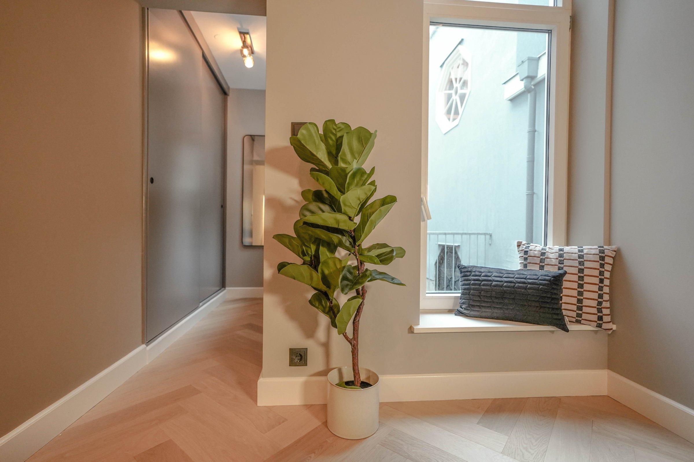 Woning te huur: Lange Houtstraat, 'S-Gravenhage