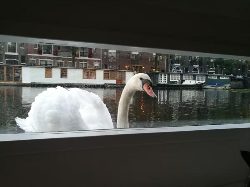 Te huur Huis Oudeschans 64 Z in Amsterdam