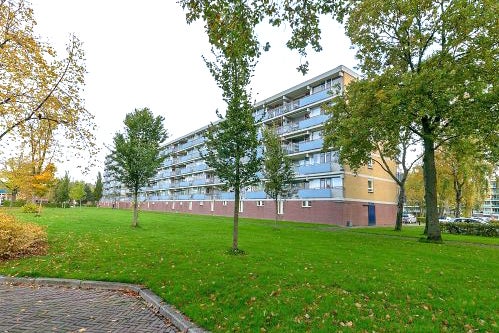 Koekoekstraat