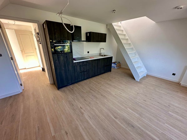 particuliere-woningen te huur op Lasondersingel