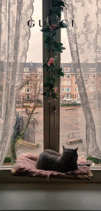 Appartement aan de Columbusplein in Amsterdam