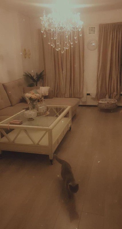 Appartement Columbusplein in Amsterdam