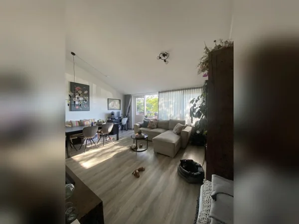 Appartement Windmolen in Edam
