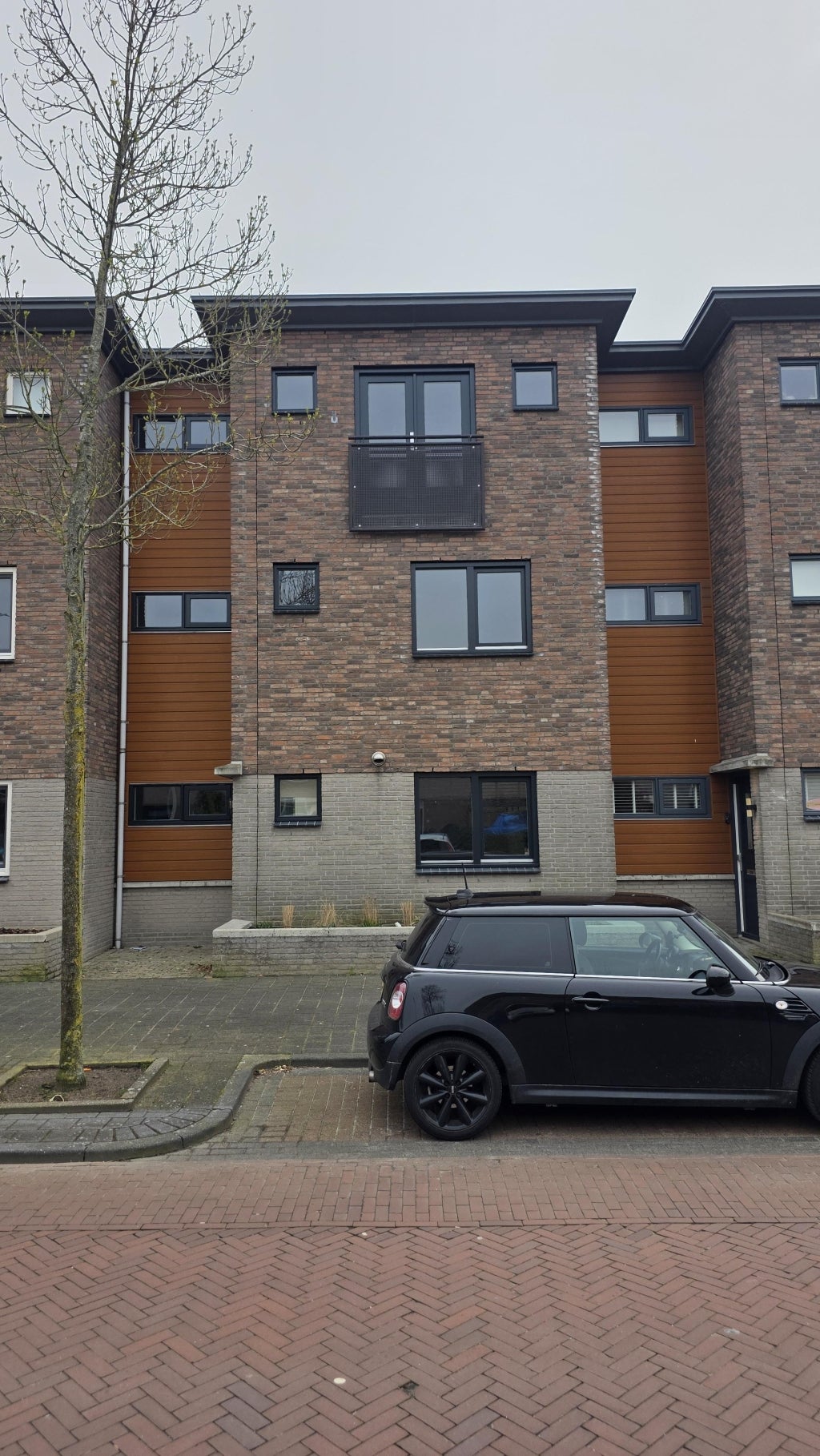 Pieter Breughelstraat, Bergen op Zoom