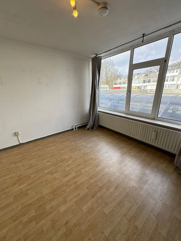 Studio Epelenberg in Breda